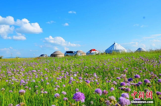 Жаз ортасында?ы ?шк? Мо???л сахарасы