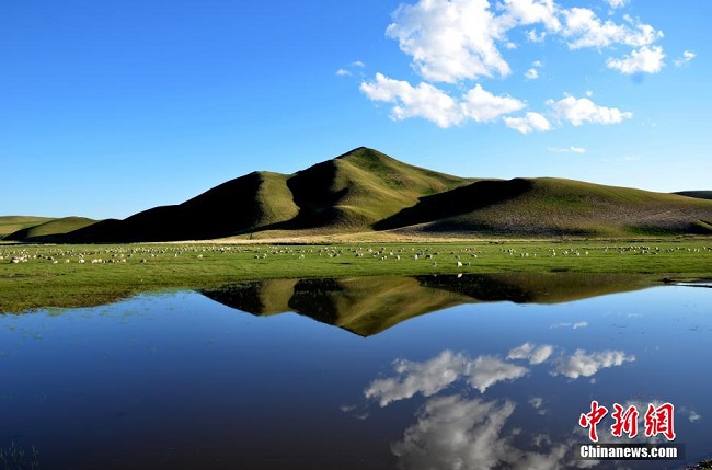 Жаз ортасында?ы ?шк? Мо???л сахарасы