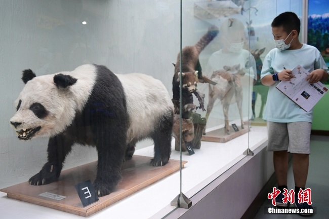 Бейж?? таби?и тарих м?ражайы 2022 жыл?ы ?М?ражай т?н?н? ашты