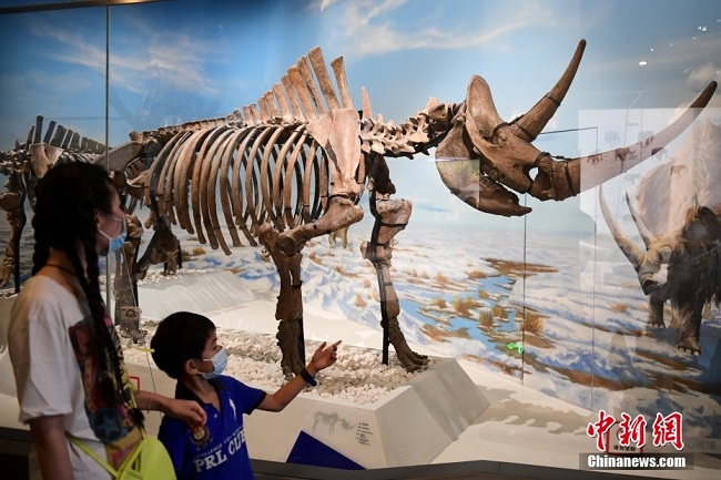 Бейж?? таби?и тарих м?ражайы 2022 жыл?ы ?М?ражай т?н?н? ашты