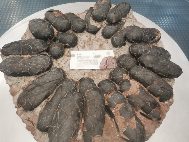 Бейж?? таби?и тарих м?ражайы 2022 жыл?ы ?М?ражай т?н?н? ашты