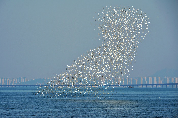 Б?р топ жыл ??стары Шаньдунны? Циндао ?аласы ма?ына жетт?