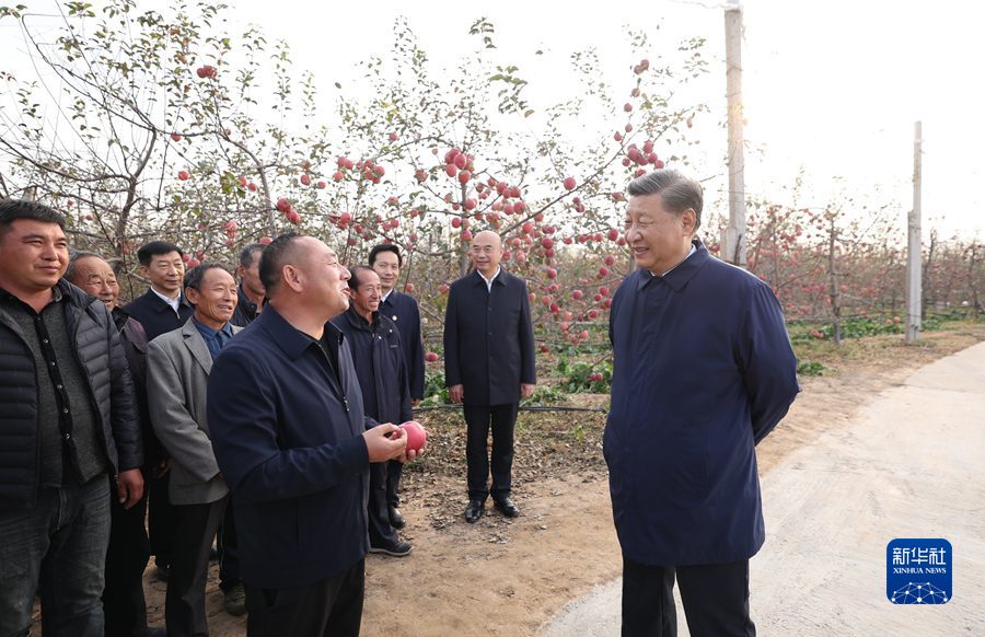 Си Цзиньпин Шэньсидег? алма фермерлер?н жа?сы т?рмыс?а жету ?ш?н н?тижел? ж?мыс ?стеуге ж?герленд?рд?