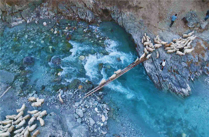 Шы?жа?ны? Текес ауданында?ы малшылар отар?а к?шт?