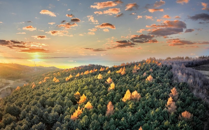 ?ыс басында?ы Хэйлунцзян тауларыны? к?ркем к?р?н?с?