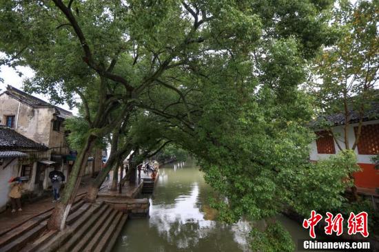 Сучжоуды? Тунли ежелг? ауылыны? тамаша т?рл?г?мен танысы?ыз