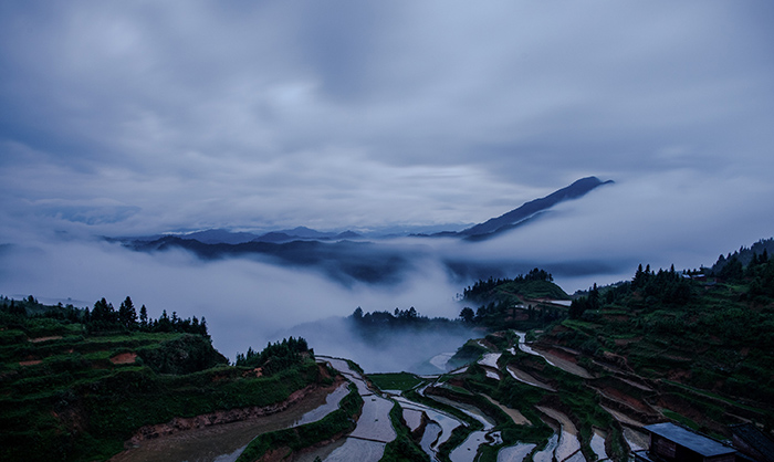 Гуандунда та?ы да 3 жа?а ?лтты? сазды саяба? ашылды