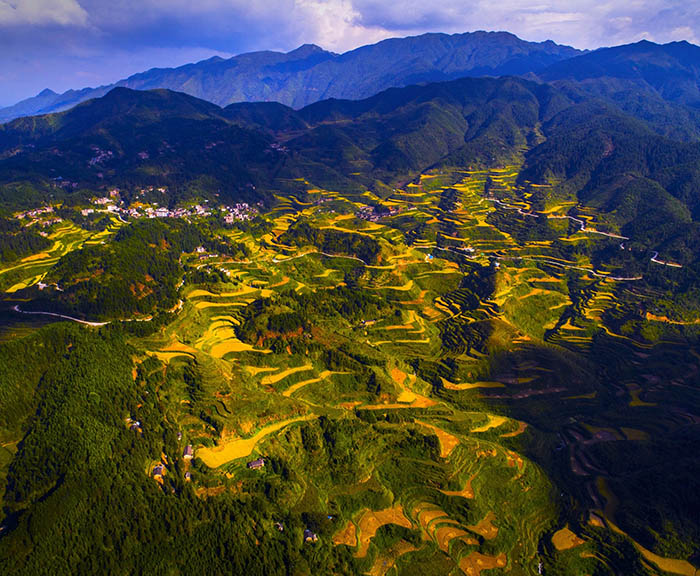 Гуандунда та?ы да 3 жа?а ?лтты? сазды саяба? ашылды