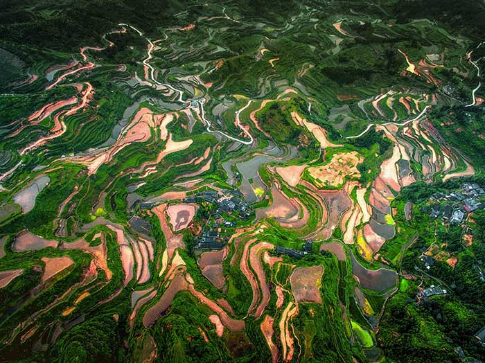 Гуандунда та?ы да 3 жа?а ?лтты? сазды саяба? ашылды