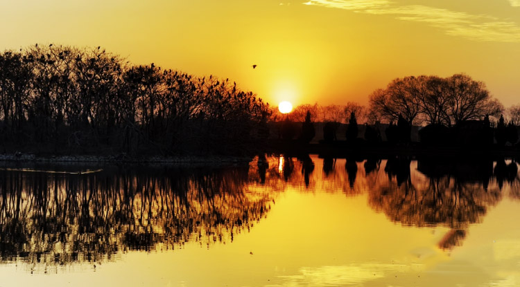 ?ыста Балихэ ?зен? са?асында?ы сымпылдай ?ш?ан ??стар