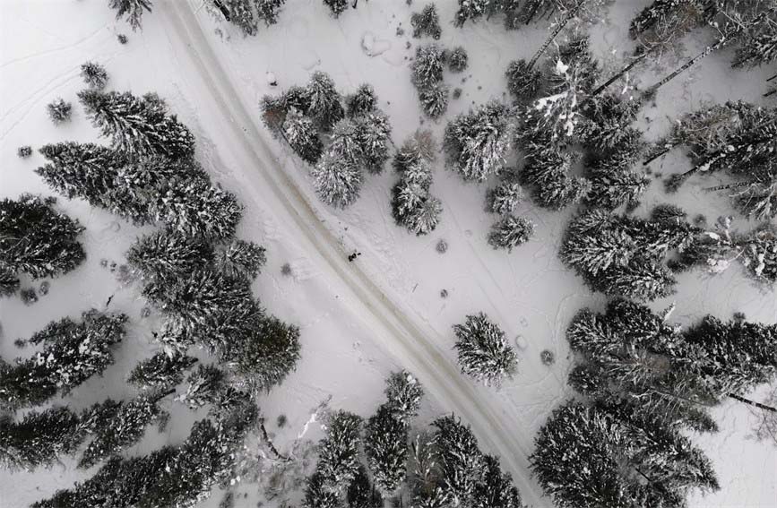 Шы?жа? ?анас: Таби?ат тудыр?ан та??ажайып кеск?ндеме