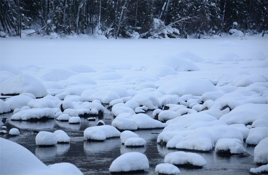 Шы?жа? ?анас: Таби?ат тудыр?ан та??ажайып кеск?ндеме