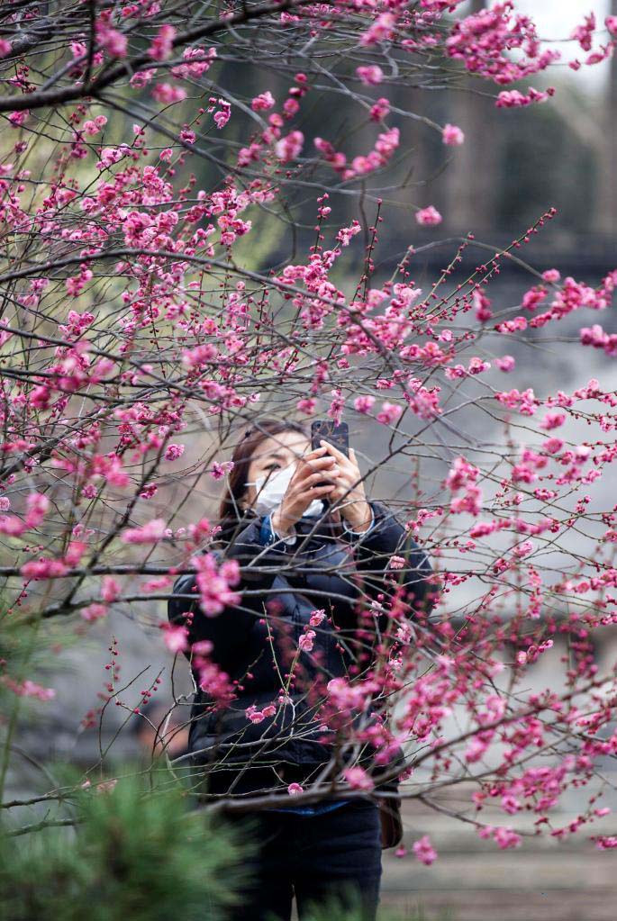 К?ктем кел?п г?лдер б?рш?к жара бастады