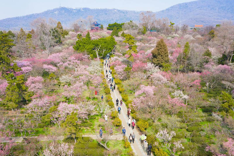 К?ктем кел?п г?лдер б?рш?к жара бастады