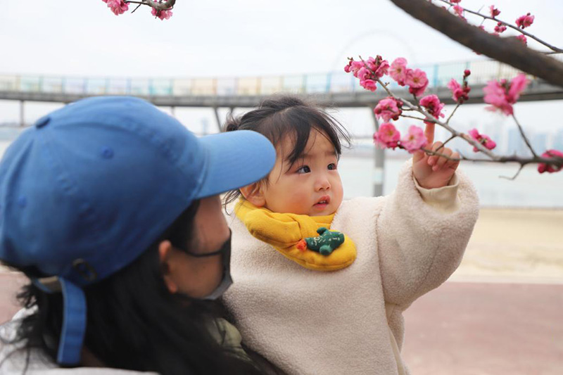 К?ктем кел?п г?лдер б?рш?к жара бастады