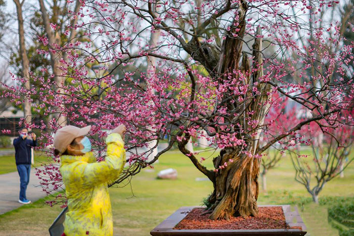 600 жыл?ы ??ара ?р?к патшасы? г?лдед?