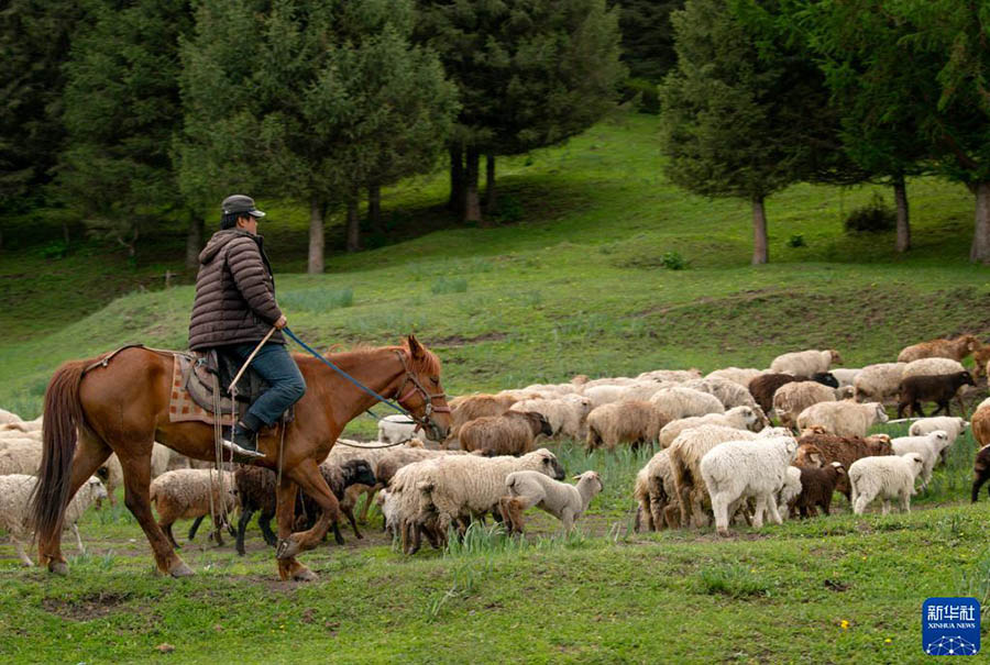 Шы?жа?да?ы Нарат сахарасы к?ркем келбет?мен туристерд? баурады
