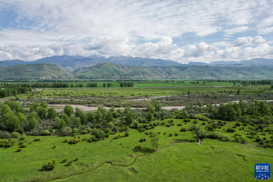 Шы?жа?да?ы Нарат сахарасы к?ркем келбет?мен туристерд? баурады