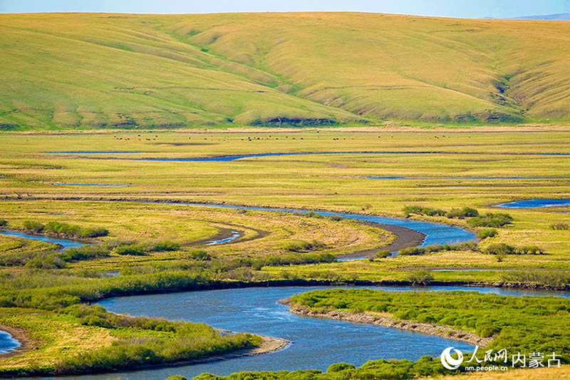 ?шк? Мо???лды? Хулуньбуир сахарасы жасыл желек жамылды