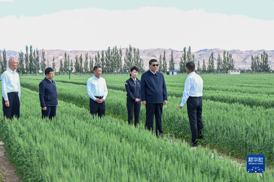 Си Цзиньпин ш?лейттенуд?? алдын алуды ж?не онымен к?рест? к?шейтуге ша?ырды