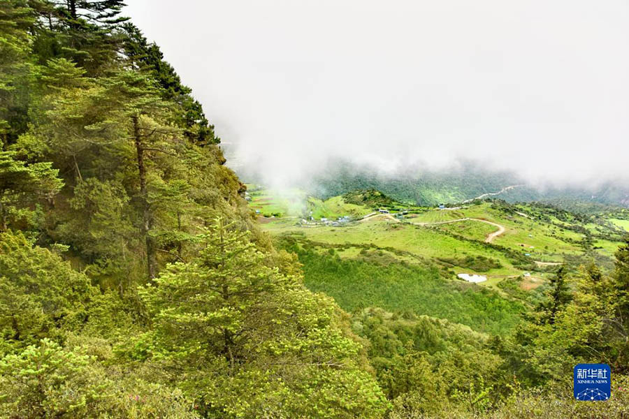 Тибет: Романтика?а толы к?р?кт? Цона