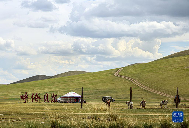 К?ркем келбетт? Хулунбуир сахарасы