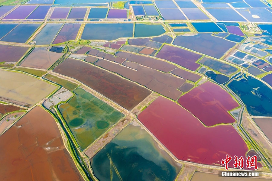 Юньчэн, Шаньси: т?зды к?лд?? ?дем? экологиялы? с?лулы?ы