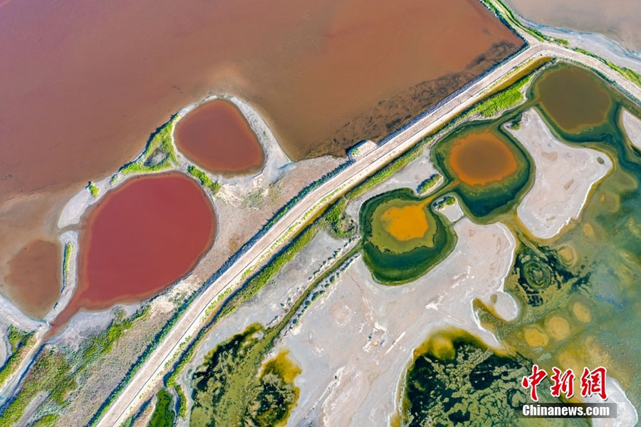 Юньчэн, Шаньси: т?зды к?лд?? ?дем? экологиялы? с?лулы?ы