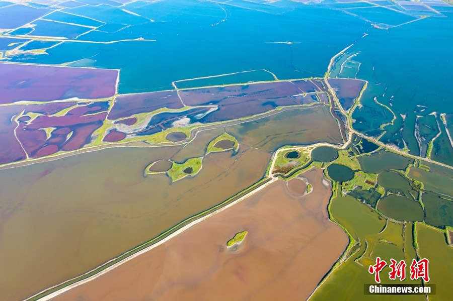 Юньчэн, Шаньси: т?зды к?лд?? ?дем? экологиялы? с?лулы?ы