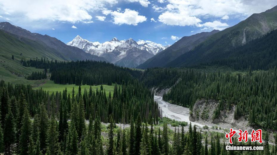 Шы?жа? Мо???лк?ре ауданы Шаты шат?алы: Ашы? аспан, жасыл жайлау, к?к к?лем