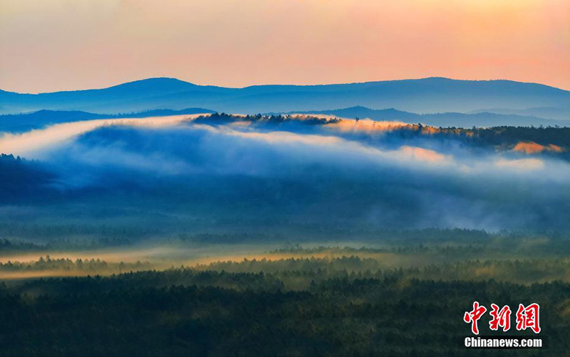 ?шк? Мо???лды? ?лкен Хынган тауы орман аума?ыны? жаз?ы к?р?н?с?