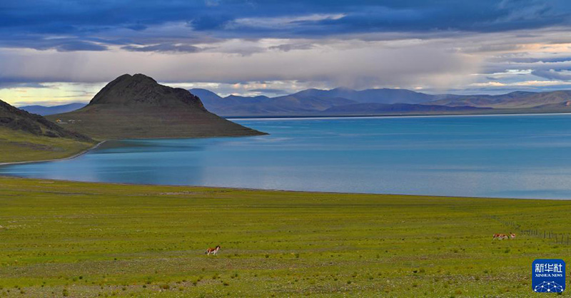 Тибеттег? к?р?кт? Чжари Нанмусо