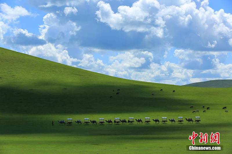 К?здег? Эргунаны? ?сем келбет?