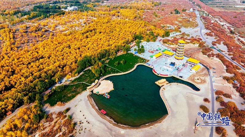 Пойыз?а отырып, ?дем? тора??ы орманын тамашала?ыздар