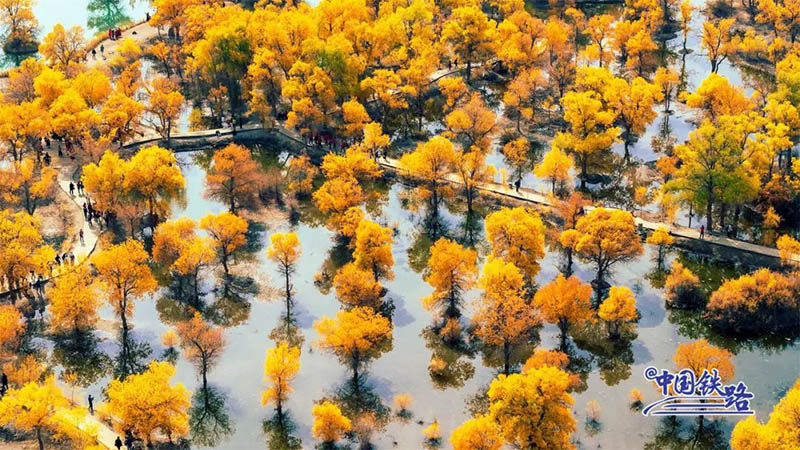 Пойыз?а отырып, ?дем? тора??ы орманын тамашала?ыздар