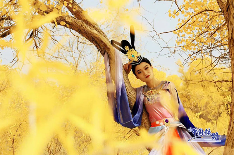 Пойыз?а отырып, ?дем? тора??ы орманын тамашала?ыздар