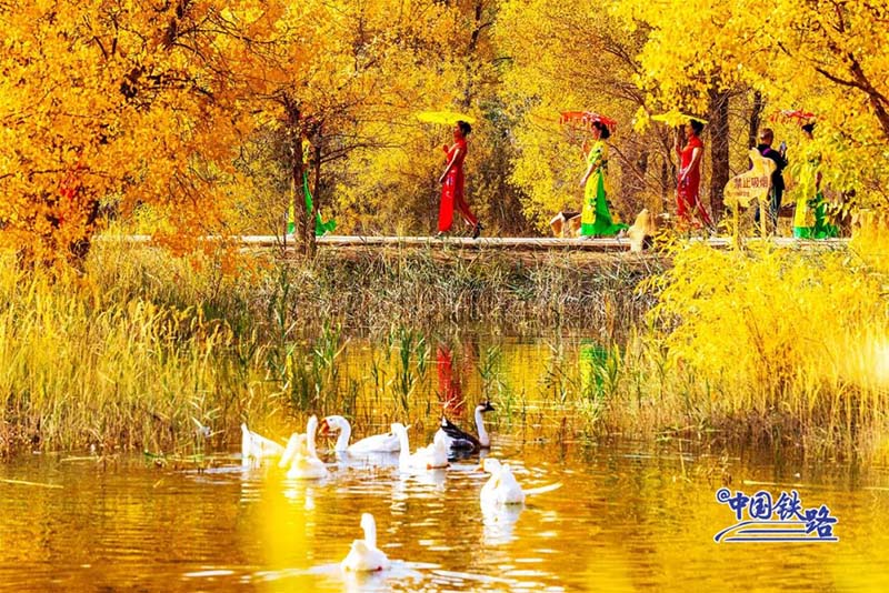 Пойыз?а отырып, ?дем? тора??ы орманын тамашала?ыздар