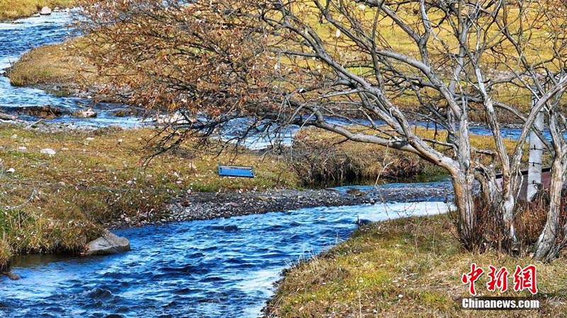 Шы?жа?ны? Мо???лк?ре ауданында?ы ?о?ыр к?з