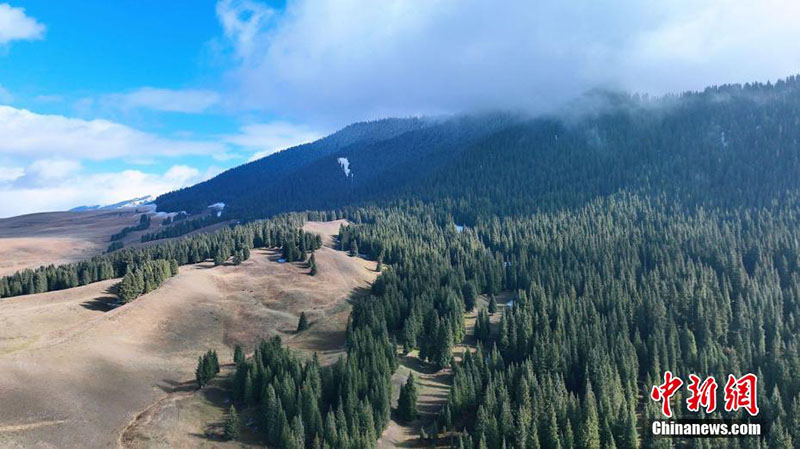 Шы?жа?ны? Мо???лк?ре ауданында?ы ?о?ыр к?з