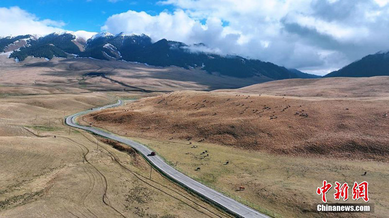 Шы?жа?ны? Мо???лк?ре ауданында?ы ?о?ыр к?з