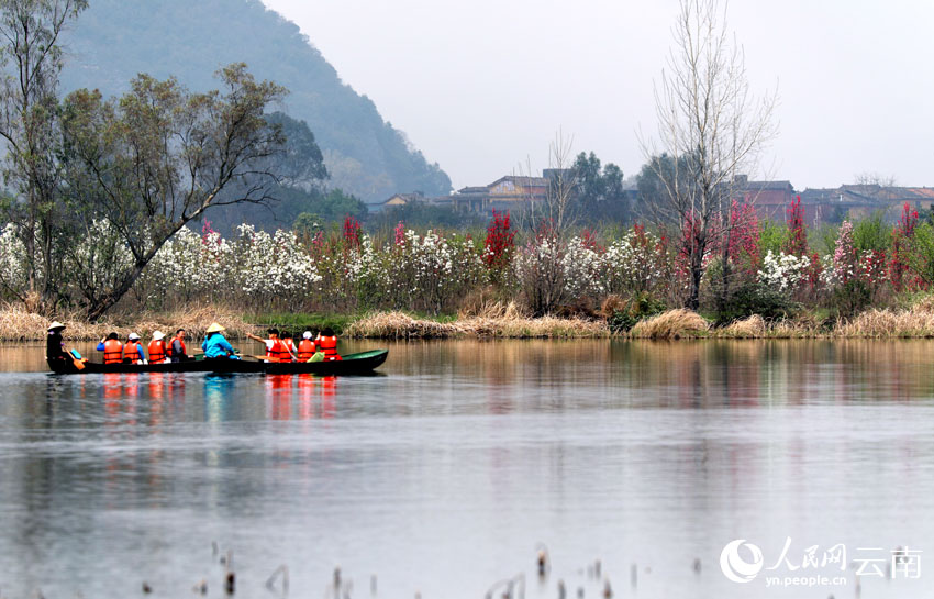 Юньнань ?лкес?ндег? Цюбэй ауданы: ?ыста ашыл?ан г?лдер ж?не ??стар