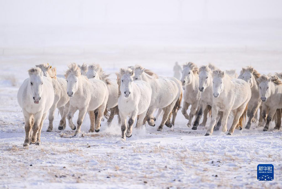 А? ?арда?ы а?боз жыл?ылар