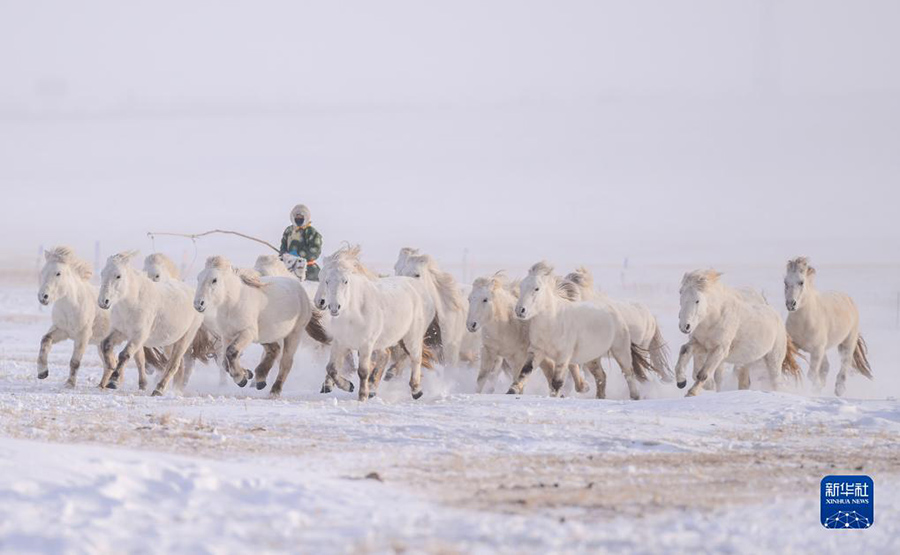 А? ?арда?ы а?боз жыл?ылар