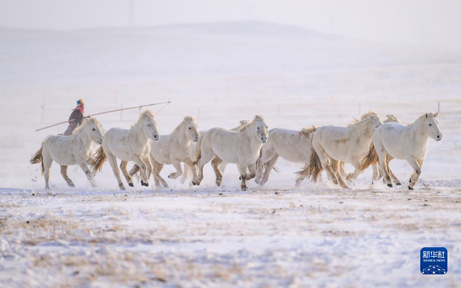 А? ?арда?ы а?боз жыл?ылар