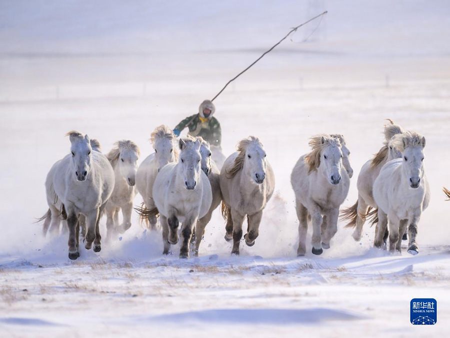 А? ?арда?ы а?боз жыл?ылар