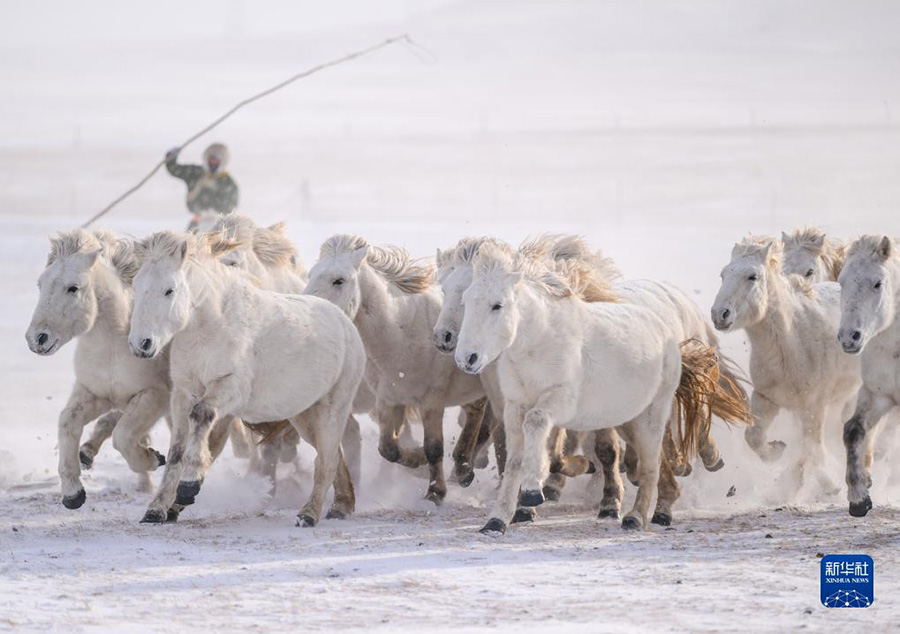 А? ?арда?ы а?боз жыл?ылар