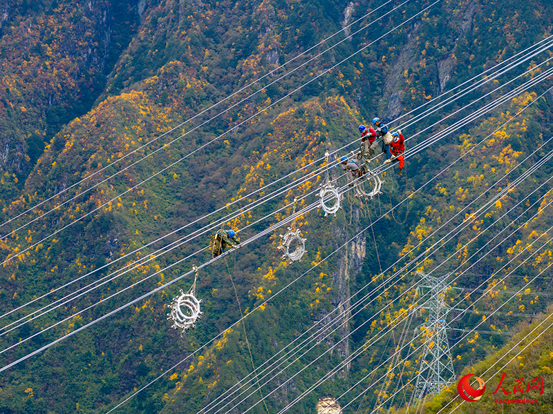 800 метр би?кт?ктег? электр жел?с?н?? операторы