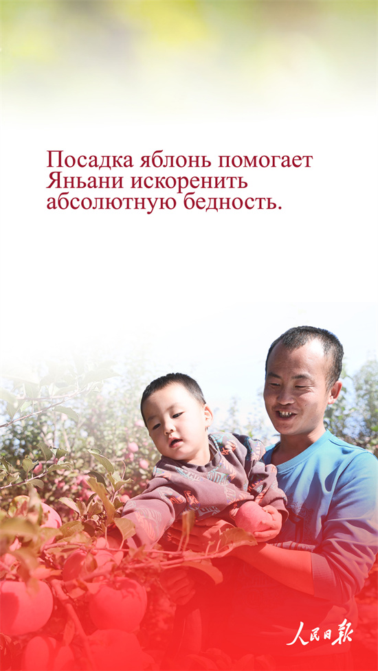 ?ытай алмалары неге танымал?