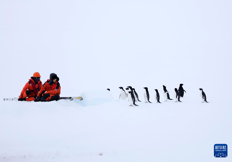 41-?нш? антарктикалы? экспедиция - ?Xuelong? н?м?рл? кемелер ж?к т?с?р?п жатыр