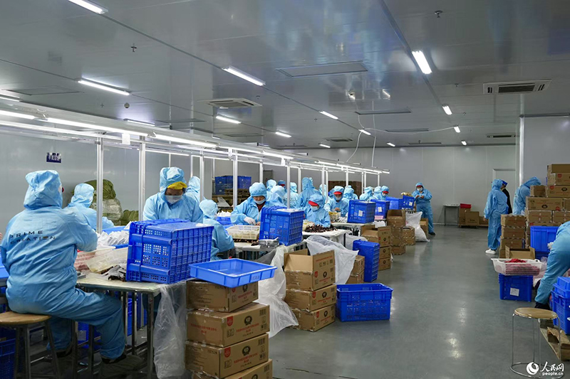 Нэчжа ?уырша?ы сауда ала?ында жа?а тол?ын?а айналды